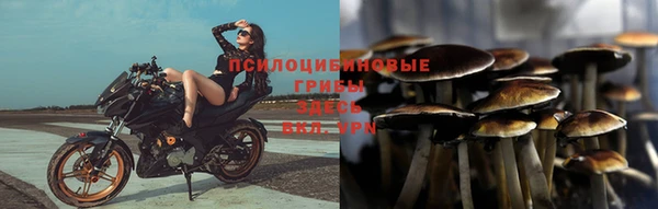 трава Абинск
