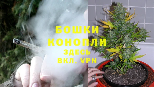 трава Абинск