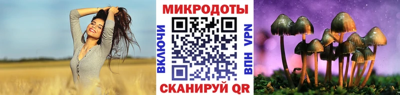 Галлюциногенные грибы Psilocybine cubensis  Холм 